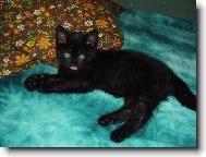 Heč, teď jsem tu já