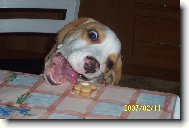 A stejně tě sním!