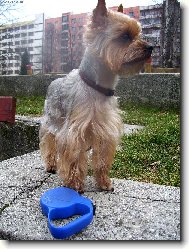 Čekám............pořád čekám...........