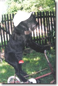 Držte si klobouky (čepice) jedeme z kopce