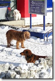 jsme na tom stejně\.\.\.