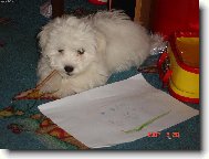 Jak to s tou tužkou dělají,že jim to píše\?