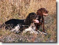 Benji a jeho kamarádka Dona :)