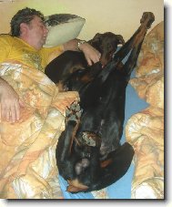 Foxíček a jeho nevěsta Sydny