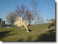 Právě přistávám