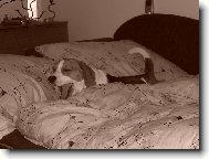 ÁÁááá to je námaha to protahování