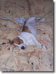 Nechápu že lidi takhle nedokáží taky spinkat.