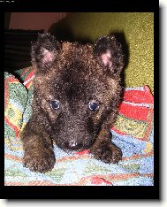 Až vyrostu, sním Karkulku...:)