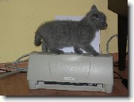 Tisknout?Žádnej problém...