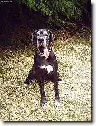 Leontýnka na procházce