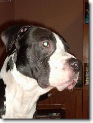 tady jsem pánem Já!