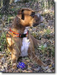 Aemi a modrý míček