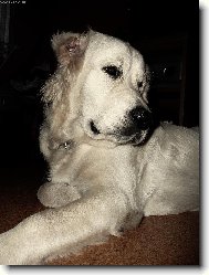 levý profil mám hezčí....