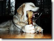 ...hovězí,to je ona...