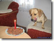 Lesan slaví narozeniny