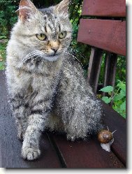 Hlídám malého kamaráda