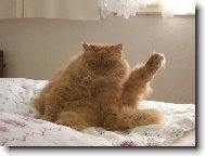 Odpolední gymnastika