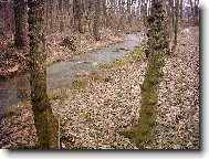 Zimní příroda na Slovácku