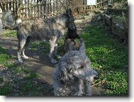 Všichni pěkně do řady!