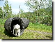 Jak se vám líbím ?