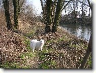 jarní procházka s Ennginkou