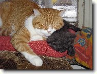 takhle se zahříváme, když spinkáme