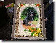 no nejsem k nakousnutí?