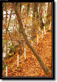 ... z jedné podzimní procházky ...