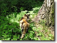 Ĺubovňa - kúpele SK