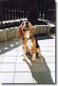 Já to rozkousám...