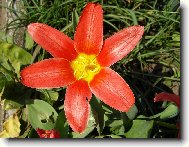 Jaro ve své kráse...