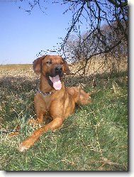 Dnes, je ale važne hezky...