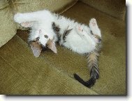 No tak, pojď už si hrát...