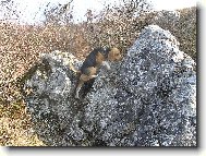 Trénink na M. Everest