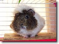 ..fotečka pouhá...pro rodinu...