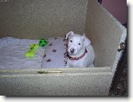 První den v novém domově...