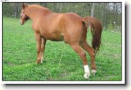 už jsem to nevydržel...