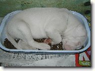 takhle mi to už nikdo nesní :-)