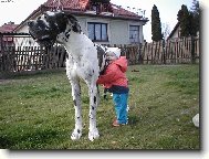 Můj velký kamarád