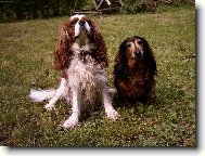 ...budeme se milovat, v nemoci i ve zdraví, v chudobě i bohactví....