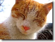 učiněný andílek!