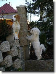 Staneme se kamarády ???