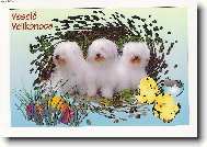 Příjemné prožití velikonočních svátků