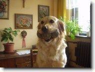 Kam já si je jen schovám ???