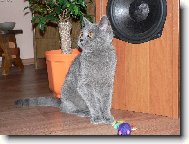 Kam že se to mám usmát?