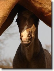 konečně na světě...