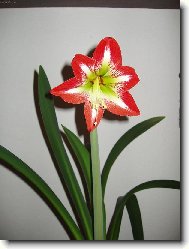 má nejkrásnější