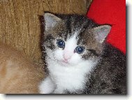 jedno z našich měsíčních miminek