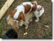 Když si začnem hrát...