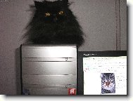 vyhraju nějakou mlsku?